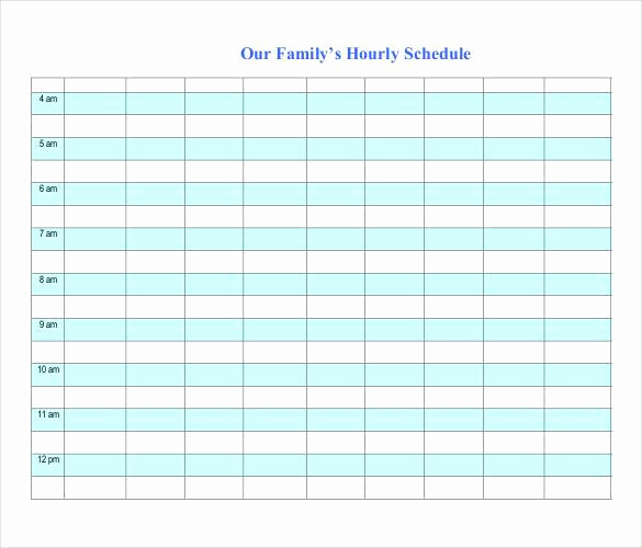 Hourly Schedule Template Excel Lovely Hourly Schedule Template 35 Free Word Excel Pdf