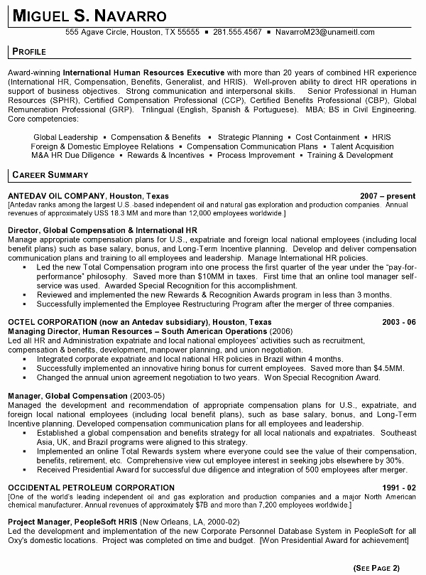 Human Resources Manager Resume Beautiful Resume Sample 11 International Human Resource Executive