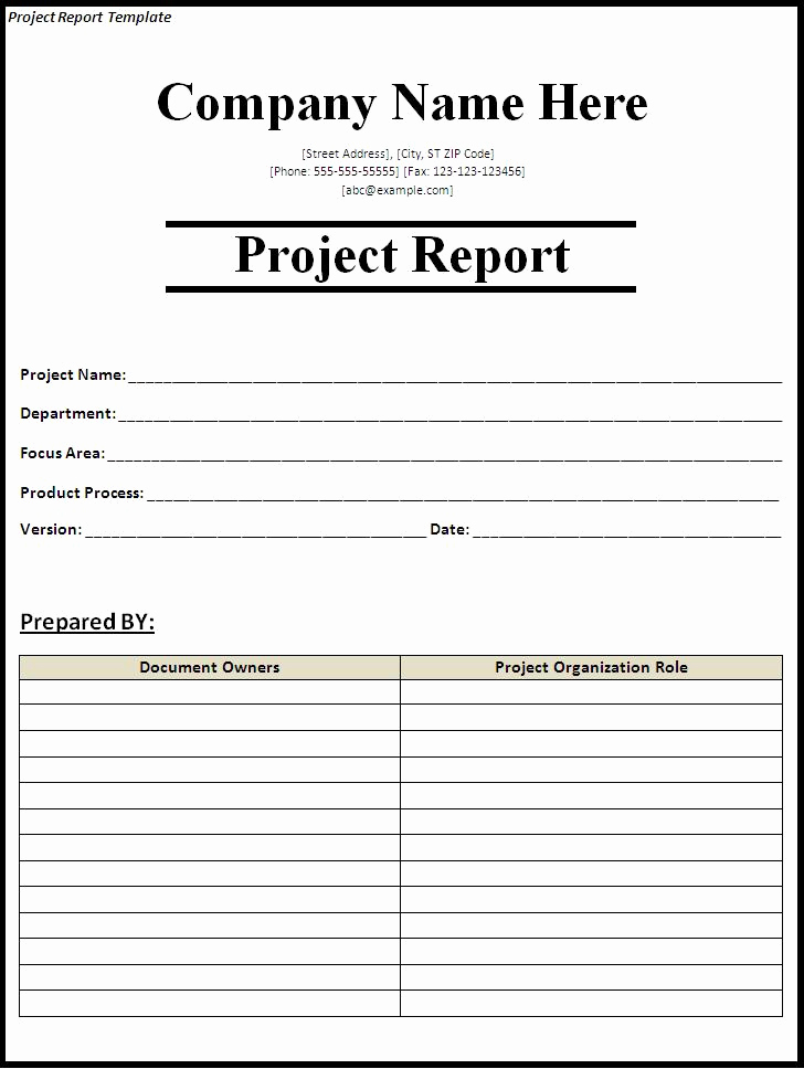 Incident Report Template Word Elegant 15 Report Templates Excel Pdf formats