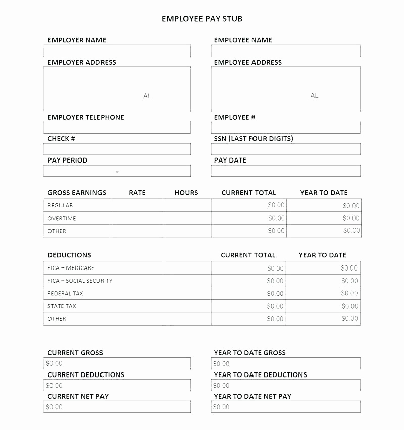 Independent Contractor Pay Stub Template Awesome 9 10 Pay Stubs Example