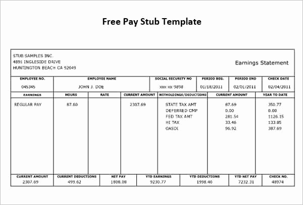 30 Independent Contractor Pay Stub Template