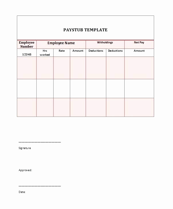 Independent Contractor Pay Stub Template Lovely 7 Independent Contractor Pay Stub Template