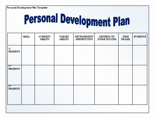 Individual Development Plan Examples New Plan Templates