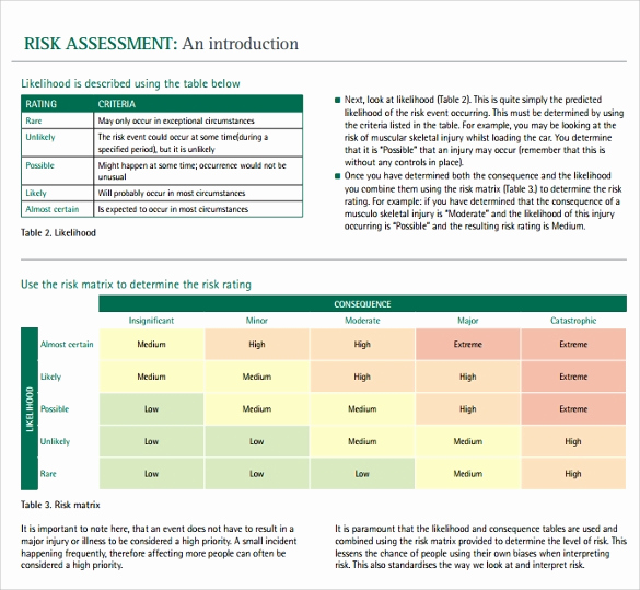It Risk assessment Template Elegant Sample It Risk assessment Template 12 Free Documents In