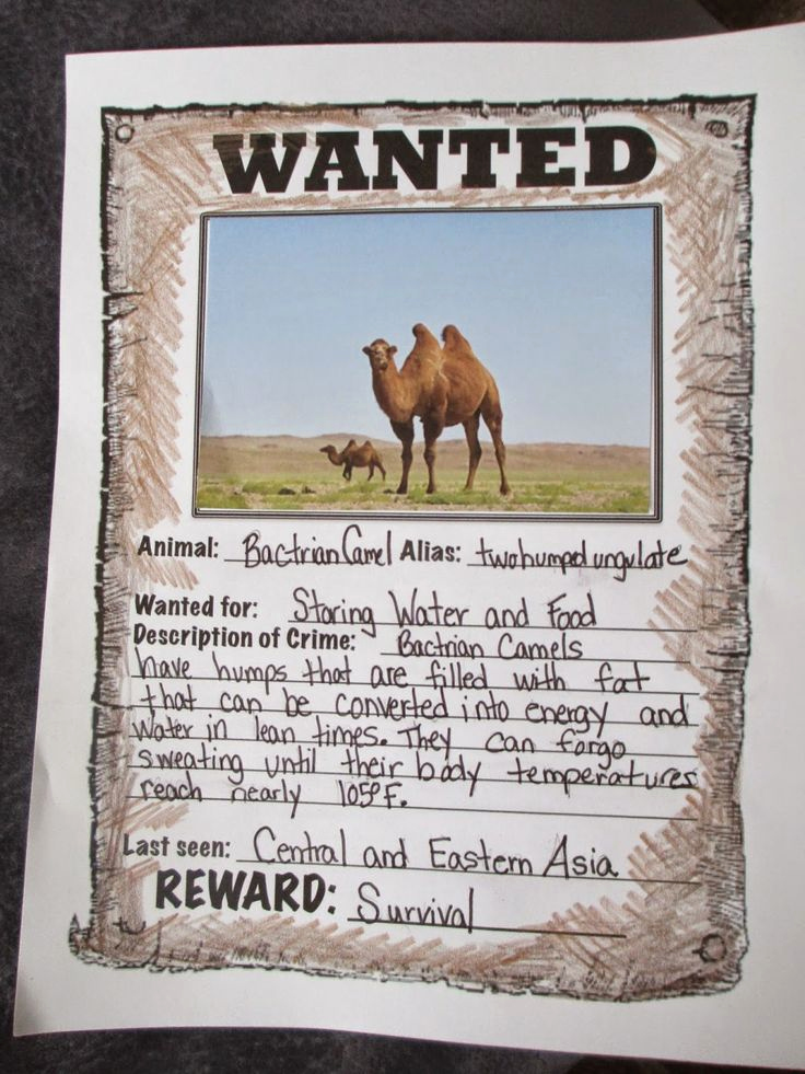 Make A Wanted Poster Fresh Animal Adaptations Create Wanted Posters