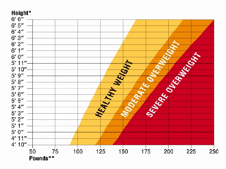 Male Height and Weight Chart Unique Average Men Weight Chart