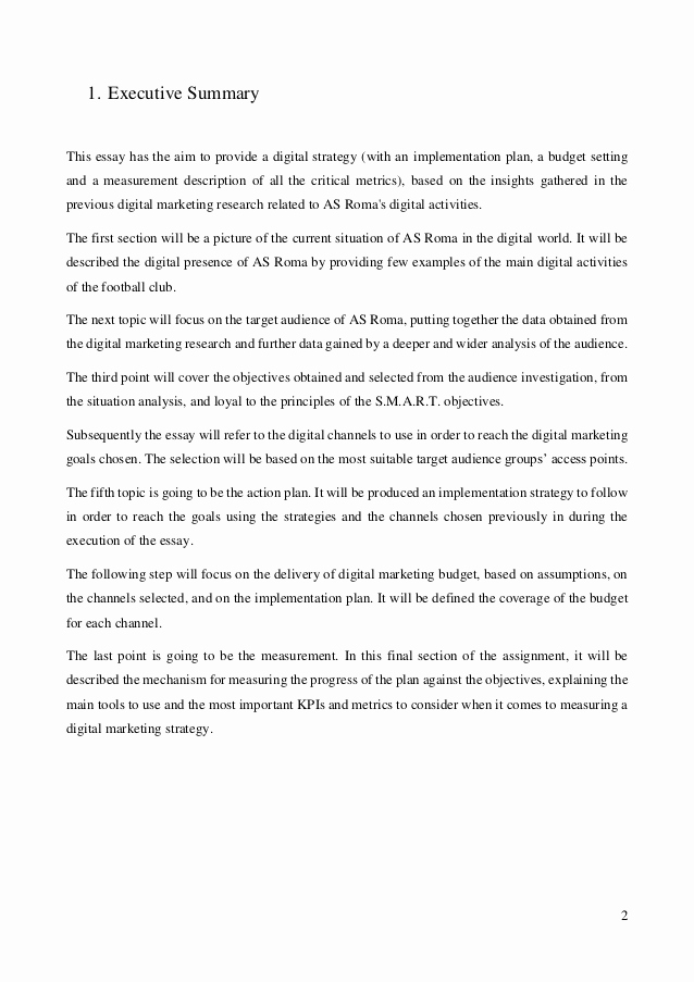 Marketing Plan Executive Summary Luxury as Roma Digital Marketing Plan Case Study 2014 by