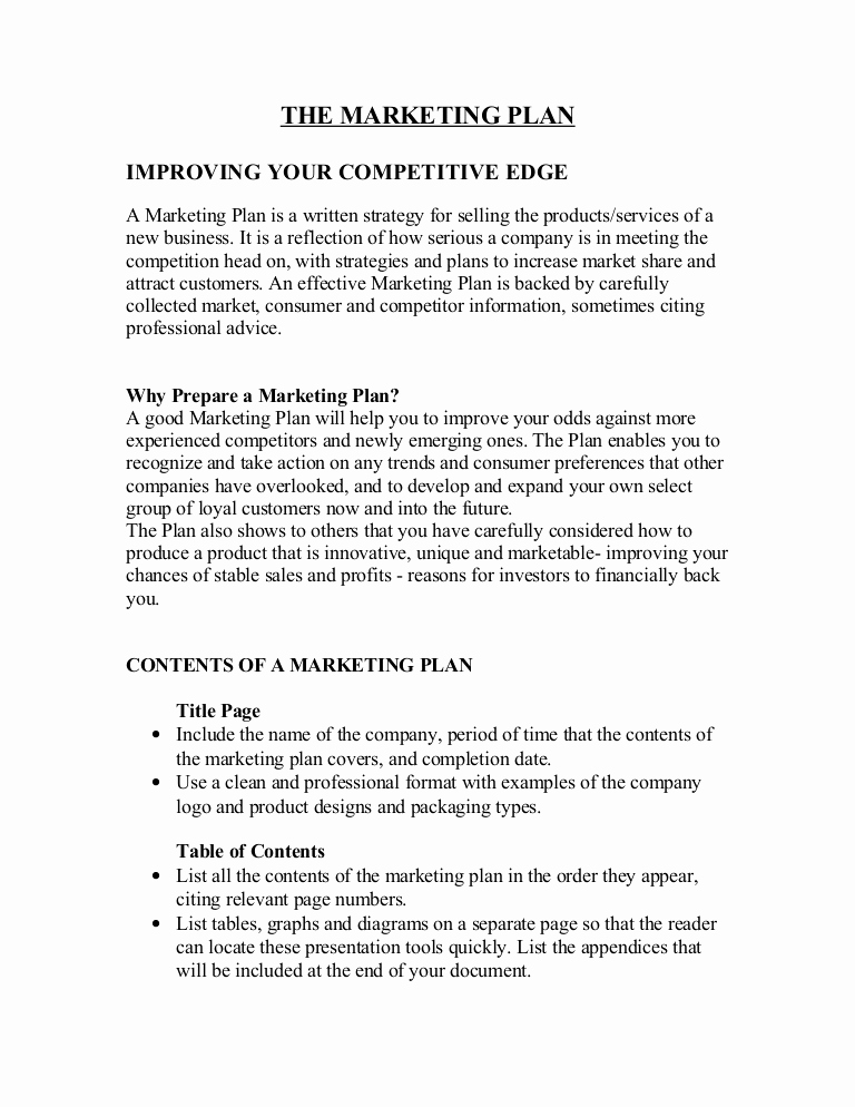 Marketing Plan Sample Pdf New Your Marketing Plan