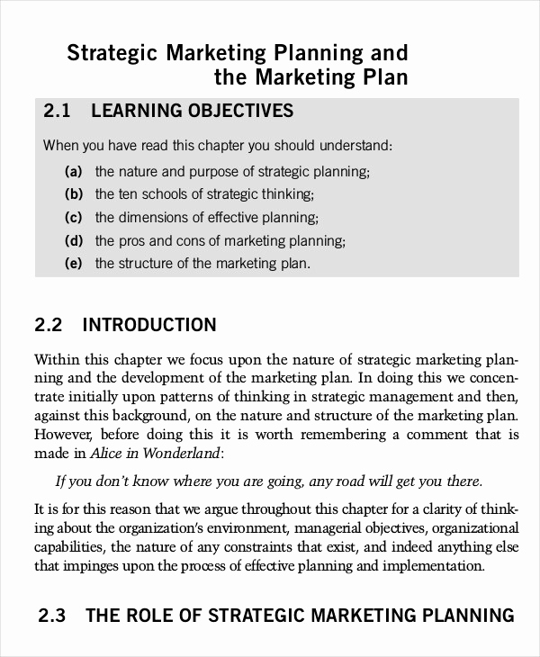 Marketing Plan Template Word Beautiful Marketing Plan Template 30 Free Word Excel Pdf Ppt