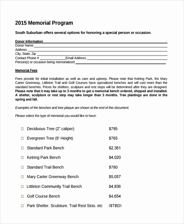 Memorial Services Program Template Inspirational 11 Sample Memorial Program Template Free Sample