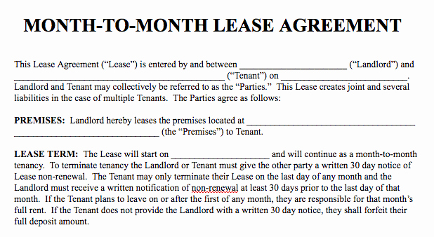 Month to Month Lease form New Basic Rental Agreement In A Word Document for Free