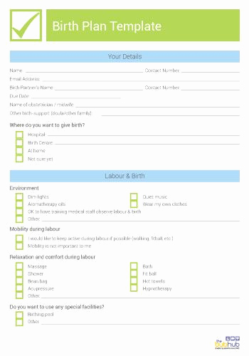 Natural Birth Plan Template Awesome 25 Best Ideas About Birth Plan Printable On Pinterest