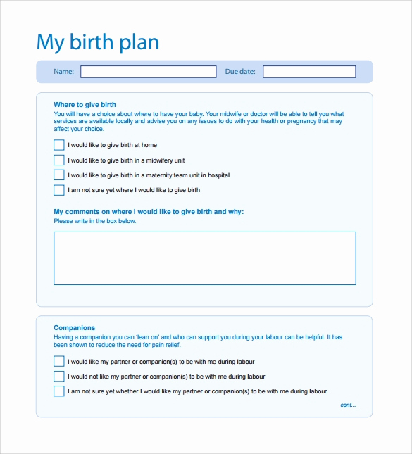 Natural Birth Plan Template Beautiful Birth Plan Template 20 Download Free Documents In Pdf Word