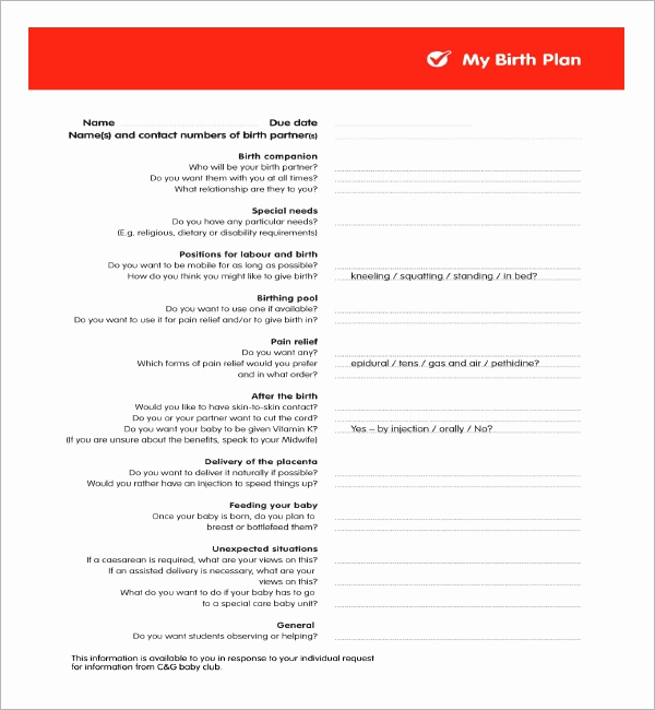 Natural Birth Plan Template Best Of Birth Plan Template 20 Download Free Documents In Pdf Word