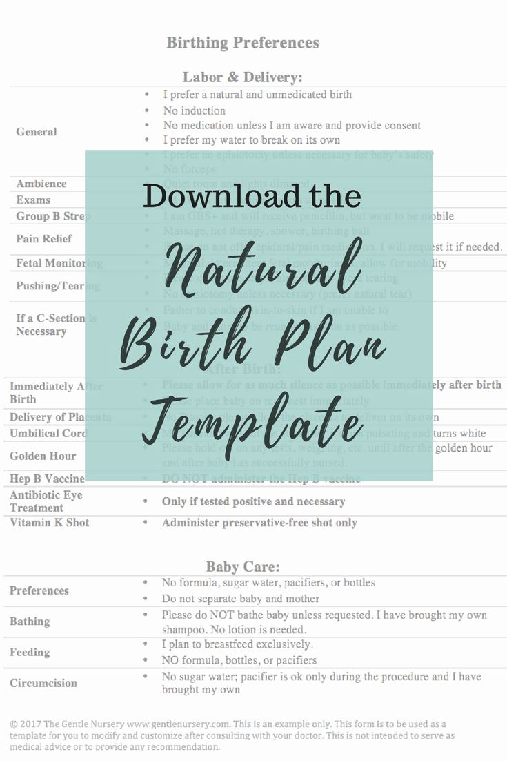 Natural Birth Plan Template Fresh Best 25 Birthing Plan Ideas On Pinterest