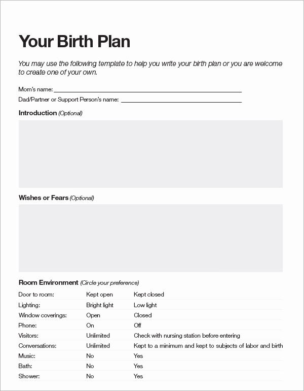 Natural Birth Plan Template Fresh Birth Plan Template 20 Download Free Documents In Pdf Word