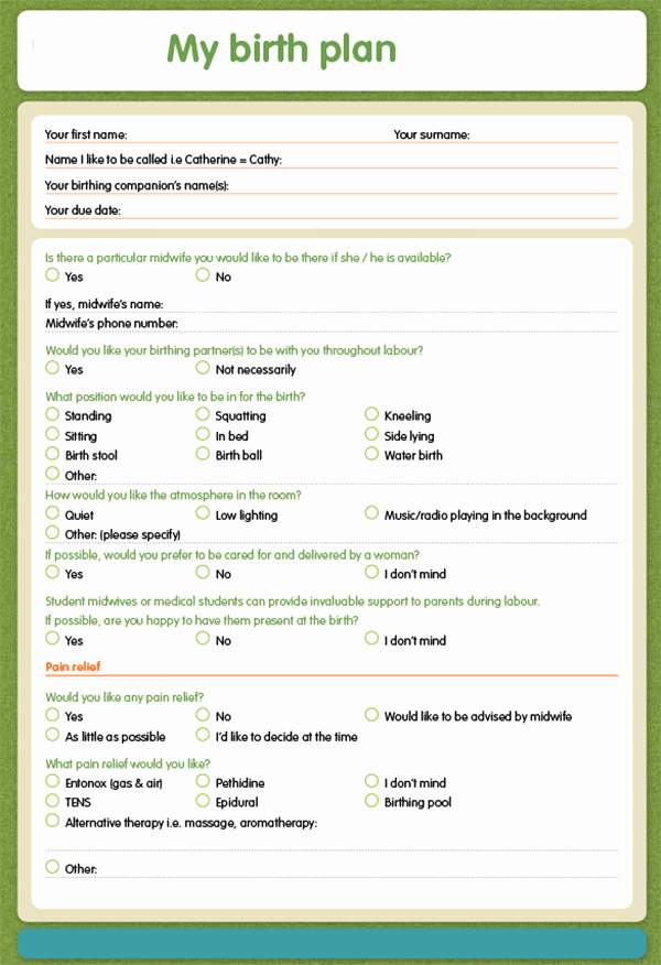 Natural Birth Plan Template Lovely 23 Sample Birth Plan Templates Pdf Word Apple Pages