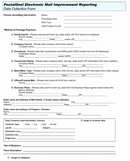 New Employee Information form Inspirational New Hire Eeo Data Sheet Frompo
