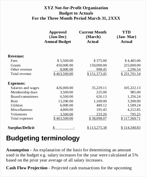 Non Profit Budget Template Best Of 8 Non Profit Bud Templates Word Pdf Excel Apple