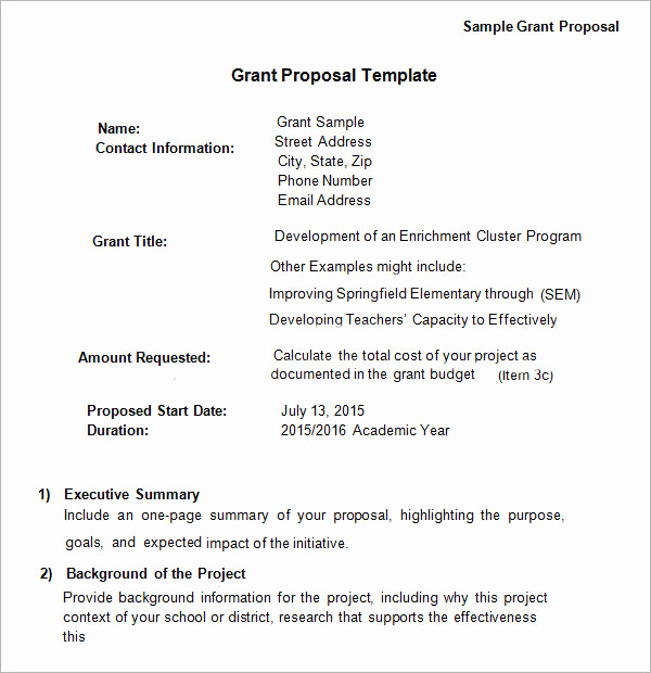 One Page Proposal Template Awesome 13 Sample Grant Proposal Templates to Download for Free