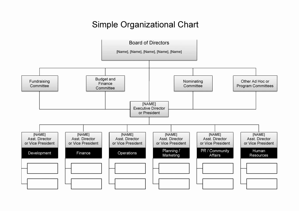 Org Chart Template Word New 25 Best Free organizational Chart Template In Word Pdf Excel
