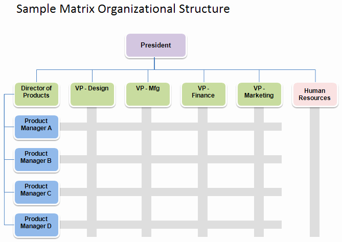 Organization Chart Template Excel New Free organizational Chart Template Pany organization