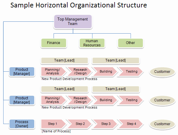 Organizational Chart Template Free Fresh Free organizational Chart Template Pany organization