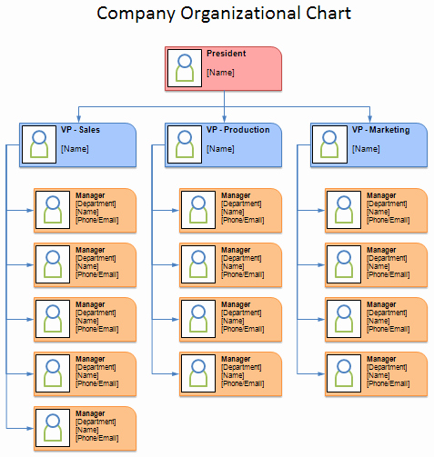 Organizational Chart Template Free Unique Free organizational Chart Template Pany organization