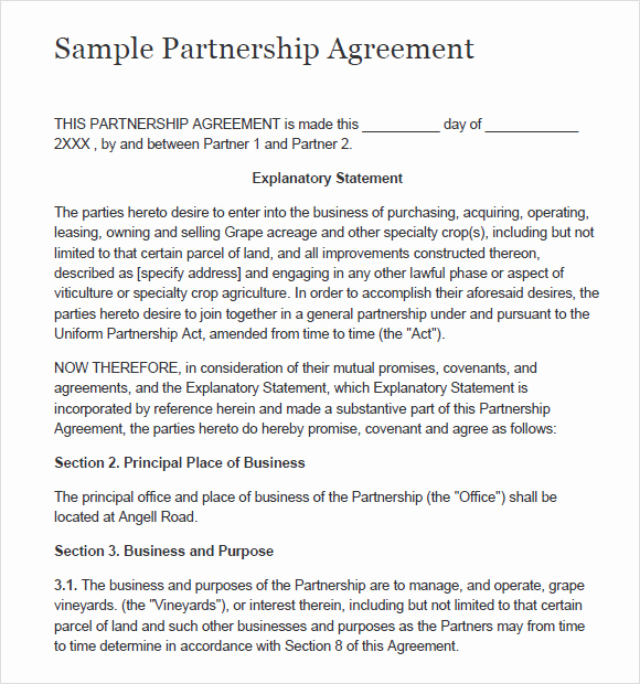 Partnership Agreement Template Word Luxury 8 Sample Partnership Agreements