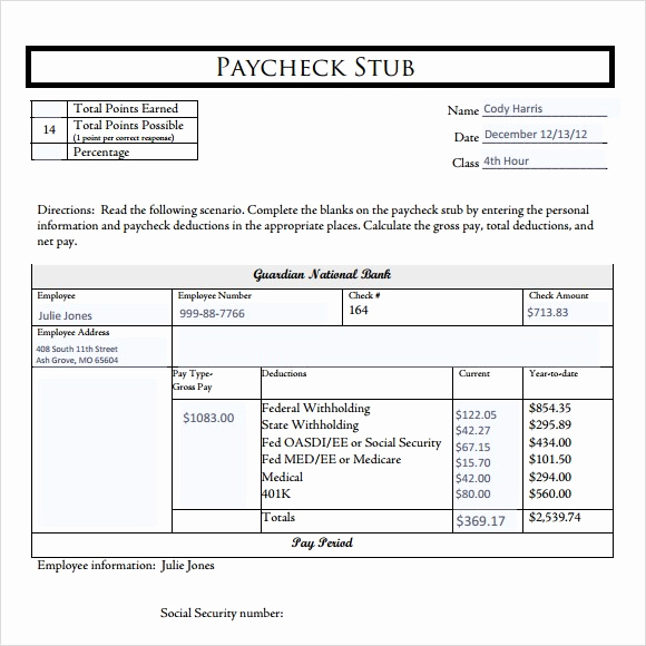 Pay Stub Template Excel Elegant 15 Paystub Samples