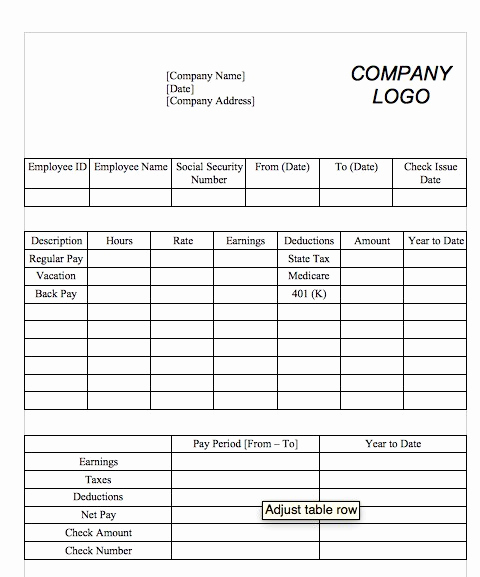 Pay Stub Template Word Unique 25 Great Pay Stub Paycheck Stub Templates