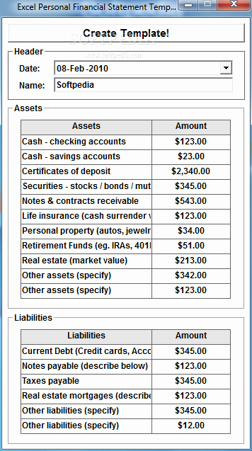 Excel Personal Financial Statement Template Softwaretml