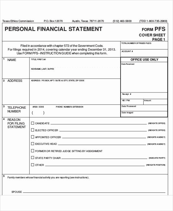 Personal Financial Statement Pdf Luxury Statement form In Pdf