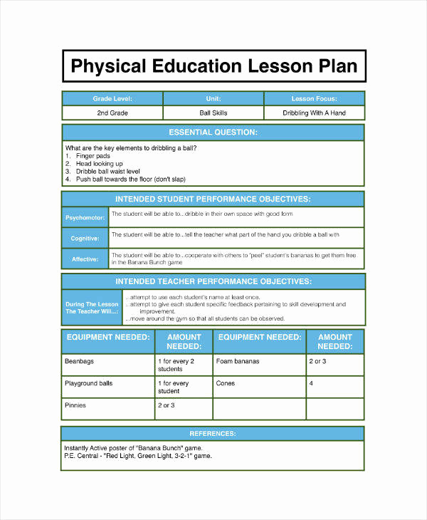 Physical Education Lesson Plan Templates Fresh 7 Physical Education Lesson Plan Templates Pdf Word