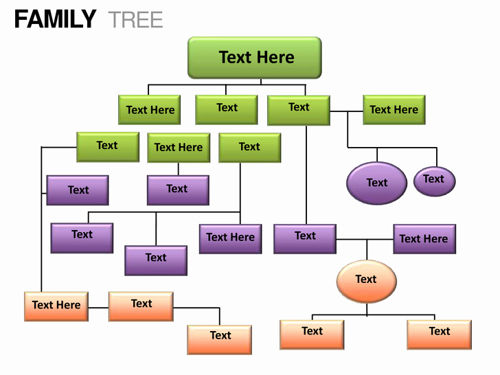 Powerpoint Family Tree Template Best Of Family Tree Powerpoint Presentation Templates