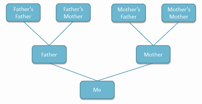 Powerpoint Family Tree Template Lovely How to Create A Family Tree In Powerpoint Using Shapes