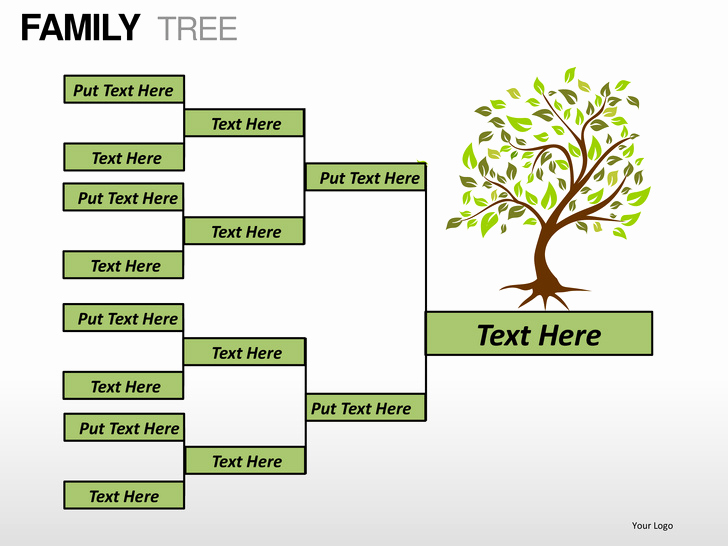 Powerpoint Family Tree Template Unique Family Tree Powerpoint Presentation Templates