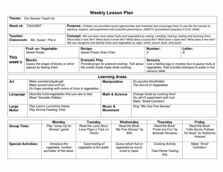 Prek Lesson Plan Template Lovely Naeyc Lesson Plan Template for Preschool