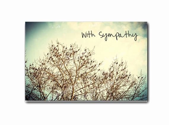 Print Out Sympathy Card Beautiful Sympathy Card Instant Download Card Download Flock Of Birds