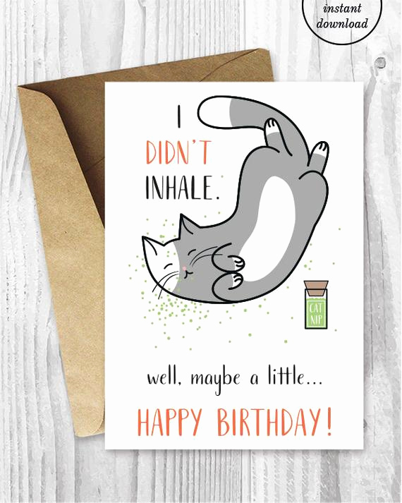 Printable Funny Birthday Cards Inspirational Printable Birthday Cards Funny Cat Birthday Cards Stoner Cat