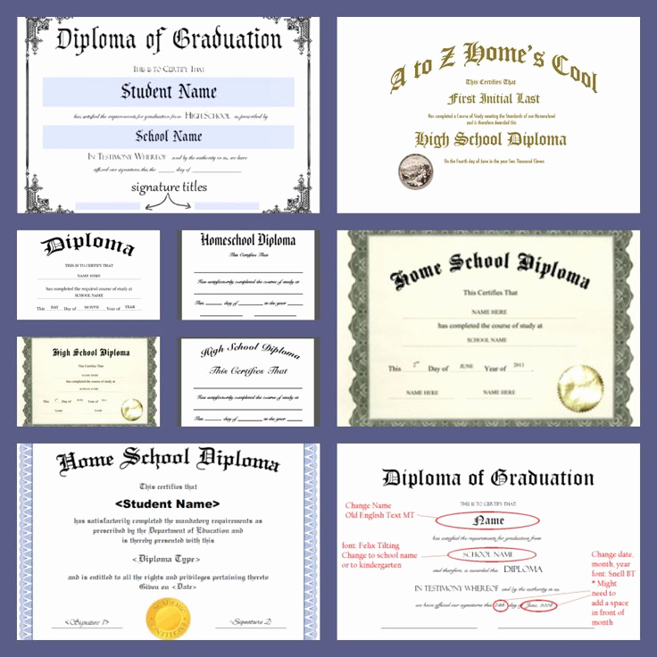 Printable High School Diploma Lovely Free Homeschool Diploma forms Online