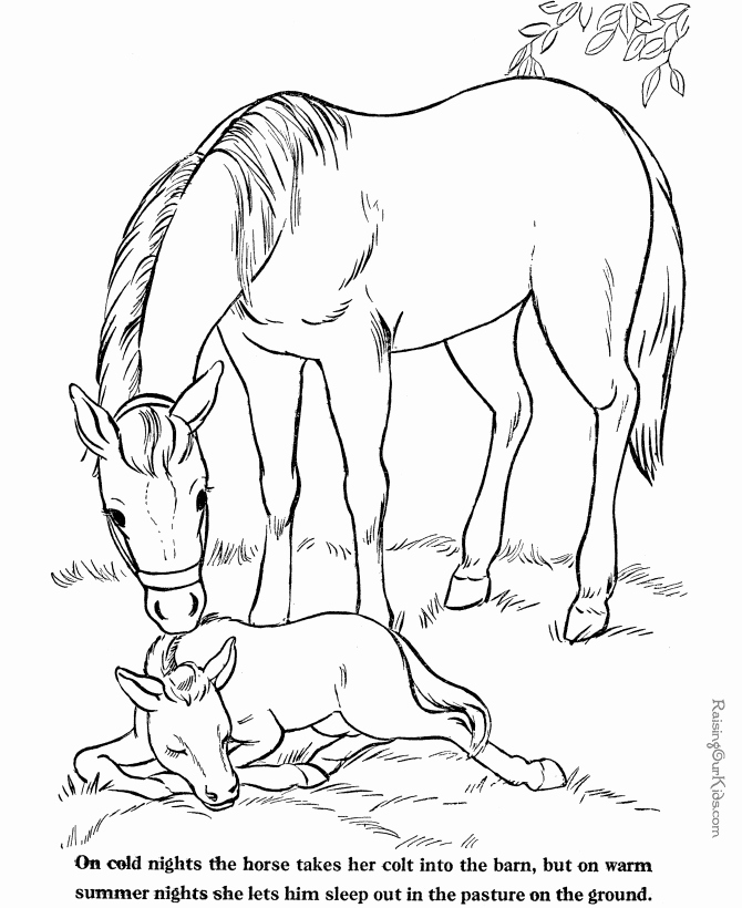 Printable Pictures Of Animals Beautiful Farm Animal Coloring Pages Bestofcoloring