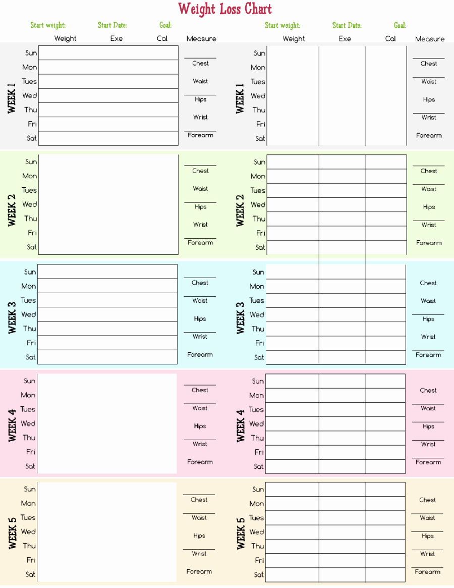 Printable Weight Loss Chart New 2018 Weight Loss Chart Fillable Printable Pdf &amp; forms
