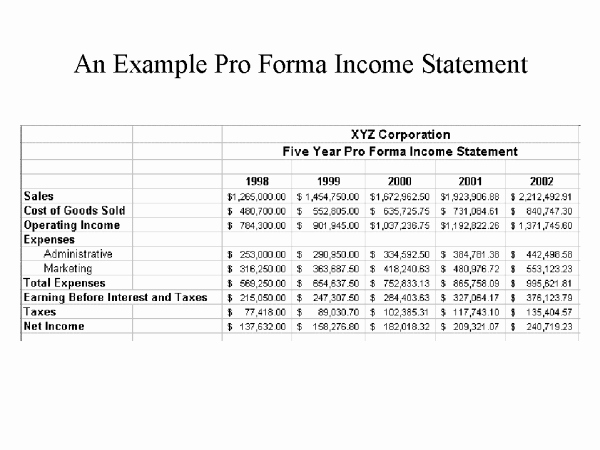 Pro forma Income Statement Template Elegant An Example Pro forma In E Statement