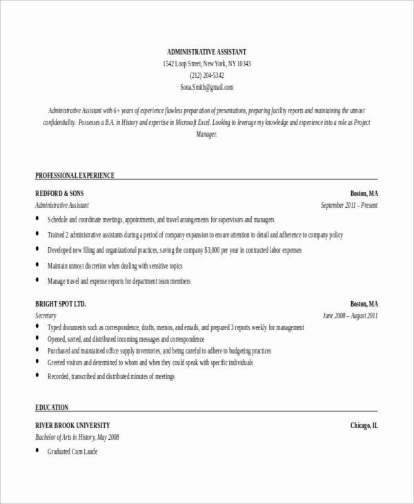 Professional Resume Template Word Elegant 10 Executive Administrative assistant Resume Templates