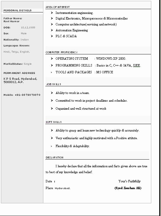 Professional Resume Template Word New Cv format Word Free Professional Cv format In Ms Word Doc