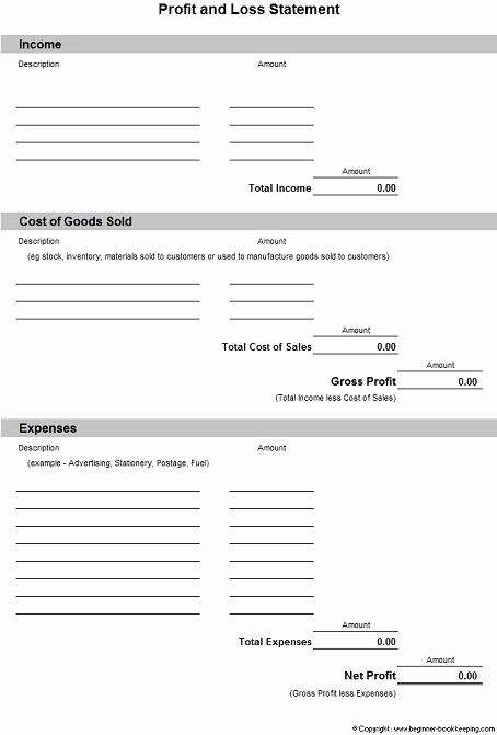 Profit and Loss Statement form Awesome Profit and Loss Statement