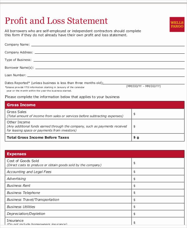Profit and Loss Statement form Awesome Statement form