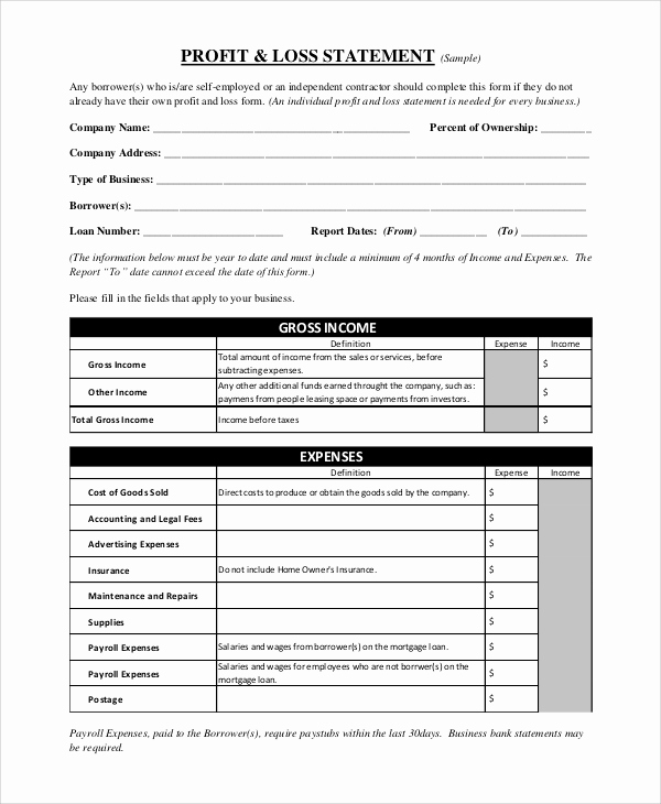 Profit and Loss Statement form Fresh Sample Profit and Loss form 9 Examples In Pdf Word
