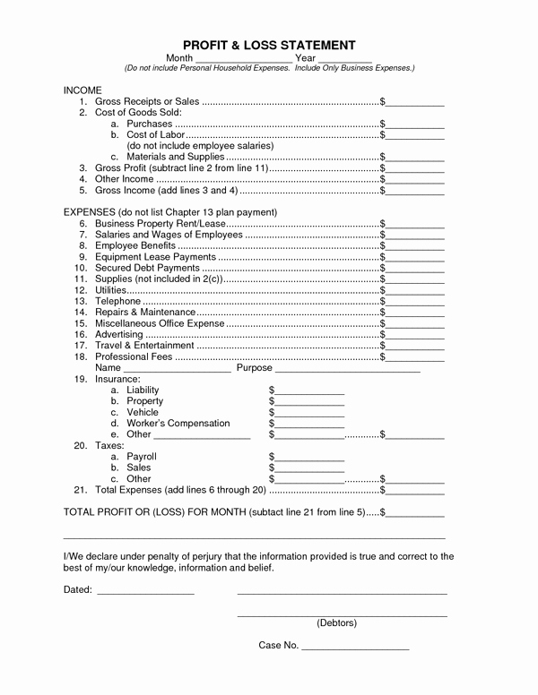 Profit and Loss Statement form New Profit and Loss Statement form Sample forms